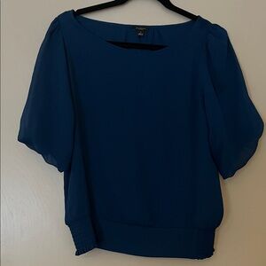 Ann Taylor Deep Blue Blouse